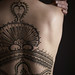 Cynthia Back Photo 5