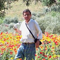 Manuel Fernadez Photo 9