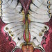 Patricia Salas Photo 42