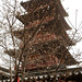 Chau Han Photo 10
