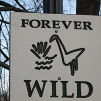 Ann Winfrey Photo 19