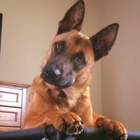 Louise Pence Photo 15