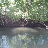 Donnie Mcelroy Photo 9