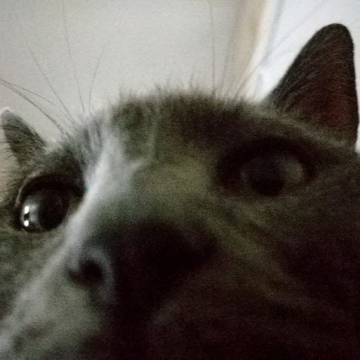 Martin Chen Photo 35