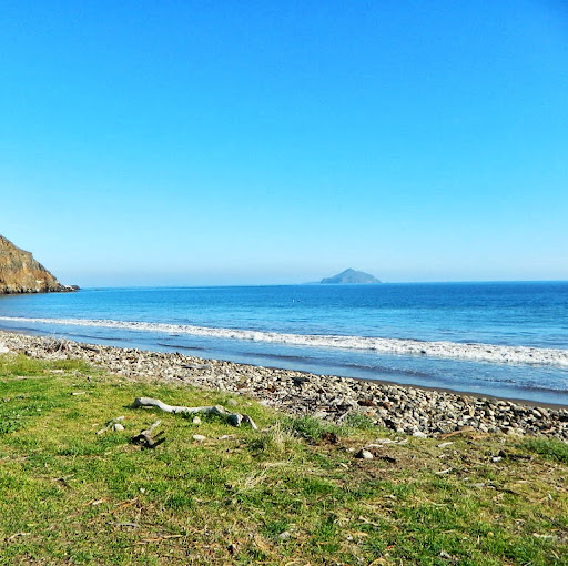 Paula Mcgrath Photo 36