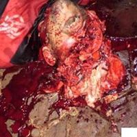 Christopher Hendrick Photo 25