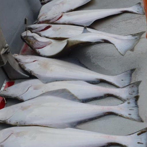 Dustin Burns Photo 18