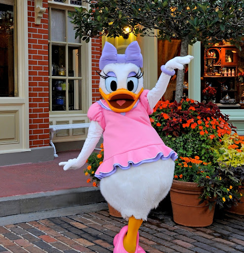 Robin Pierce Photo 19