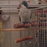 Shirley Mccardle Photo 7