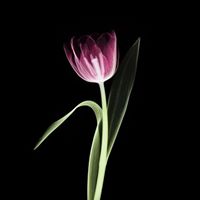 Marie Miles Photo 21