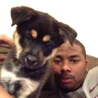 Steven Mccray Photo 19