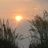 Katherine Alexander Photo 6