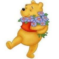 Paula Mccarty Photo 4