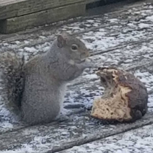 Patrick Mccarthy Photo 15 Patrick Mccarthy Photo 15