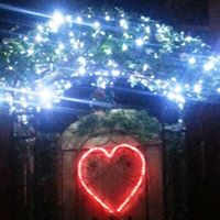 Sharon Elliott Photo 15 Sharon Elliott Photo 15