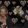 Donna Mclaughlin Photo 3