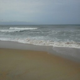 Debra Griffith Photo 7