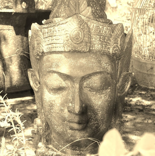 Cathy Beck Photo 26 Cathy Beck Photo 26