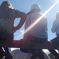 Vicki Atkins Photo 21