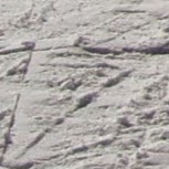 Marc Hoffmann Photo 6