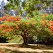 Lisa Haller Photo 23