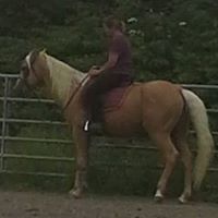 Elaine Elmore Photo 7