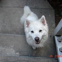 Jacqueline Phillips Photo 29