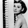Anne Cook Photo 41