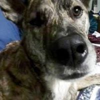 Laura Webber Photo 21 Laura Webber Photo 21