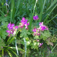 Paul Peters Photo 32