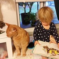 Phyllis Harding Photo 19 Phyllis Harding Photo 19