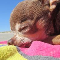 Stephanie Creel Photo 8