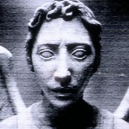 Christian Mccann Photo 7