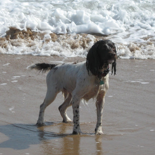 Julia Sinclair Photo 13