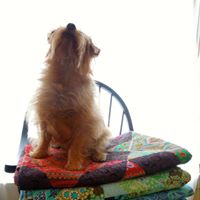 Debra Sewell Photo 26