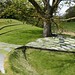 Charles Hedges Photo 18