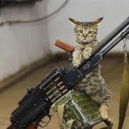 Jeanette Clinton Photo 2