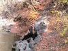 Paul Dawson Photo 18