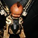 Ted Hansen Photo 13