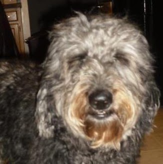 Stephanie Hatfield Photo 22