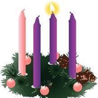 Mary Steiner Photo 7 Mary Steiner Photo 7