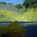 Art Dotson Photo 10