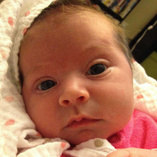 Robin Stein Photo 10