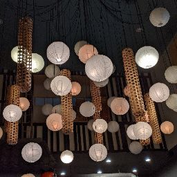 Justin Cook Photo 11