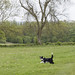 Max Ball Photo 27