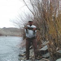 Ralph Wheeler Photo 10