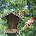 Deborah Way Photo 15