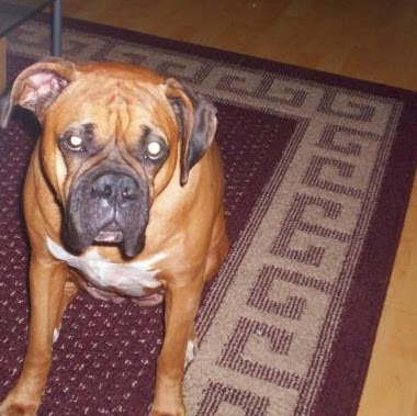 Christopher Dykstra Photo 12