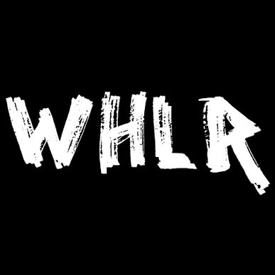 Matthew Wheeler Photo 11