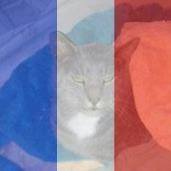 Arleen Paul Photo 13